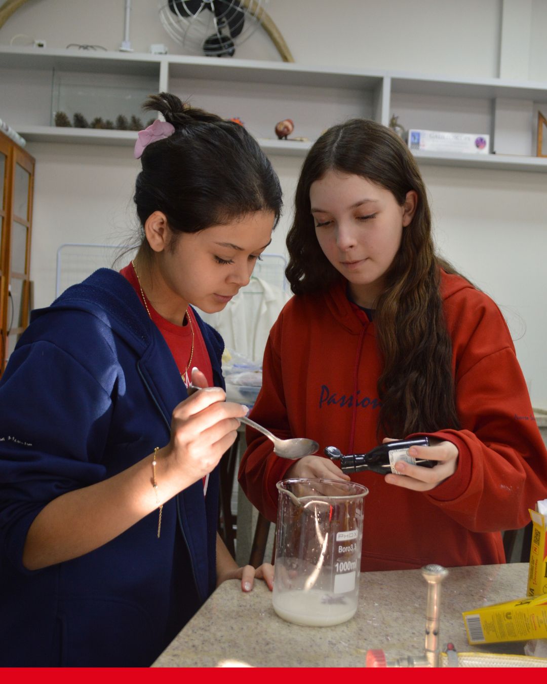 Atividade sobre os Bioplsticos! Nossa Senhora Menina